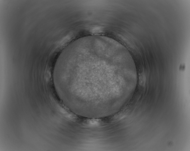 X0000091880618200709261352