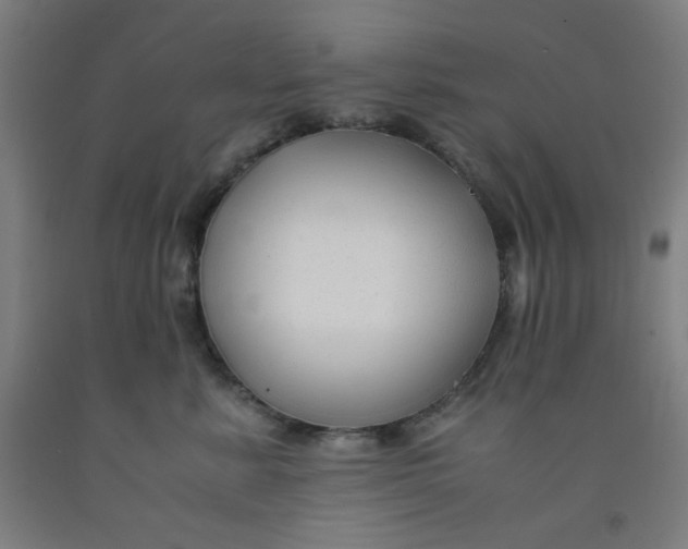 X0000091880619200709261352