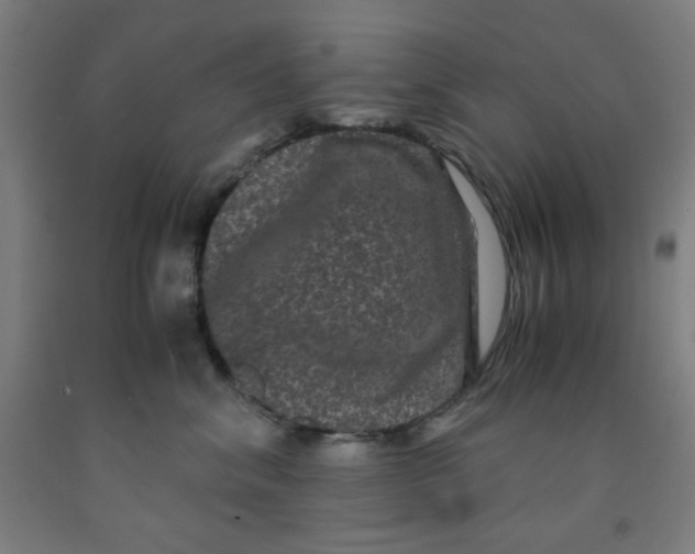 X0000091880620200709261352