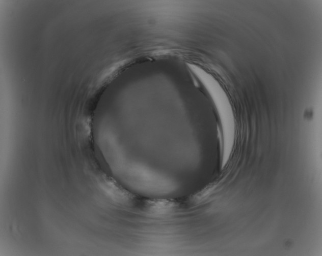 X0000091880621200709261352