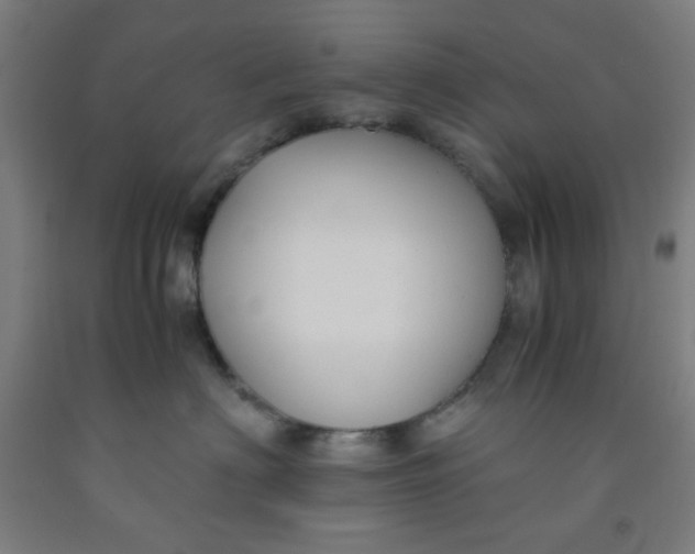 X0000091880622200709261352