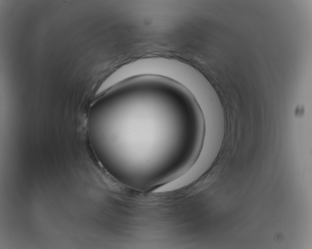 X0000091880624200709261352