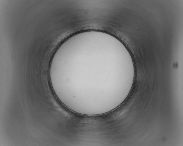 X0000091880625200709261352