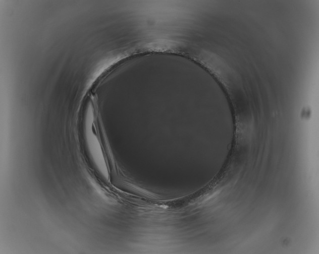 X0000091880626200709261352