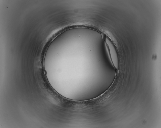 X0000091880628200709261352