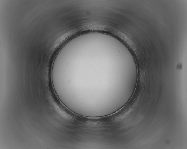 X0000091880629200709261352