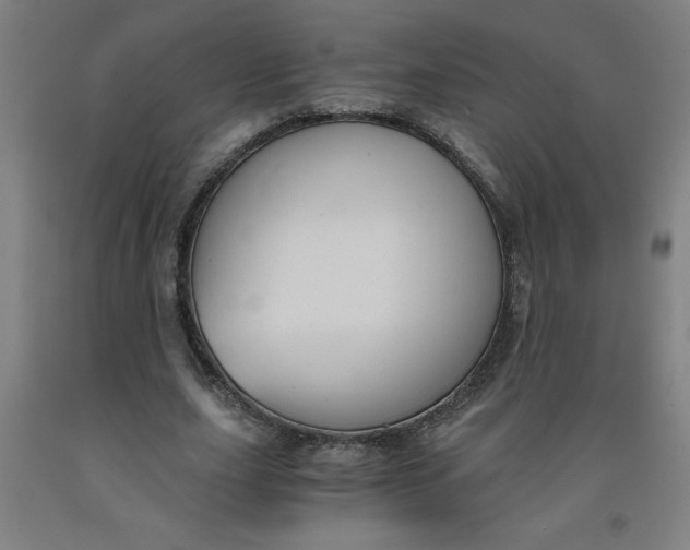 X0000091880631200709261352