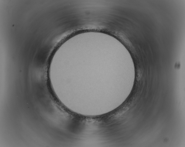 X0000091880632200709261352