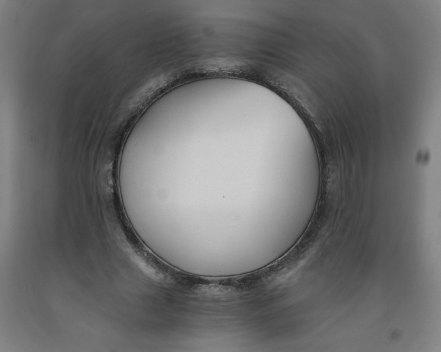 X0000091880633200709261352