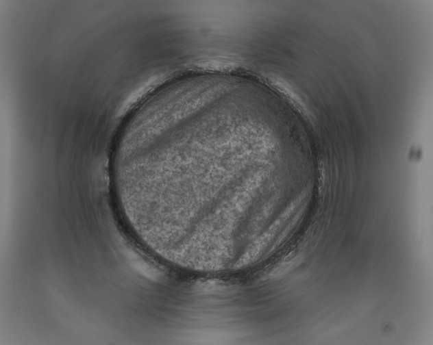 X0000091880634200709261352