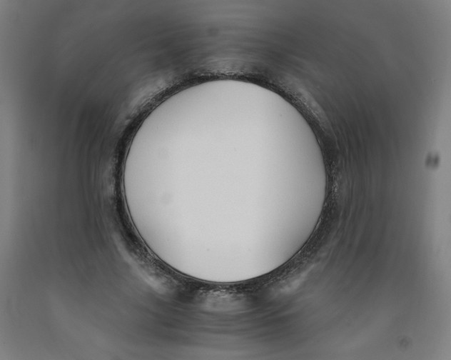 X0000091880635200709261352