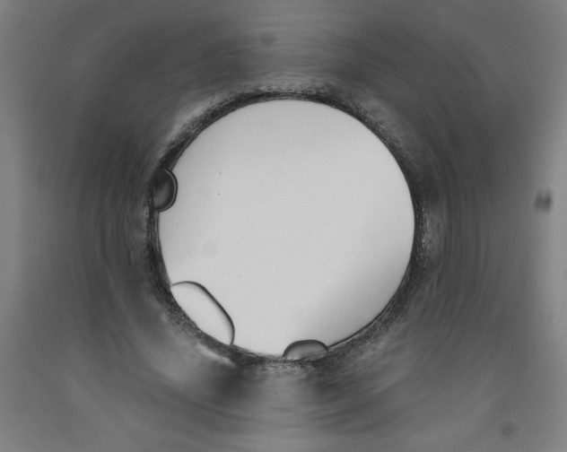 X0000091880636200709261352