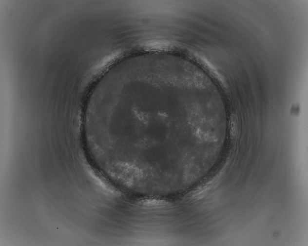 X0000091880637200709261352