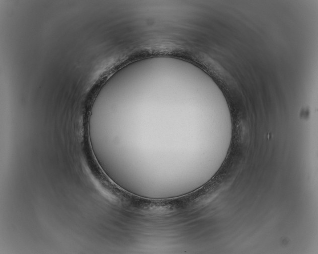 X0000091880638200709261352