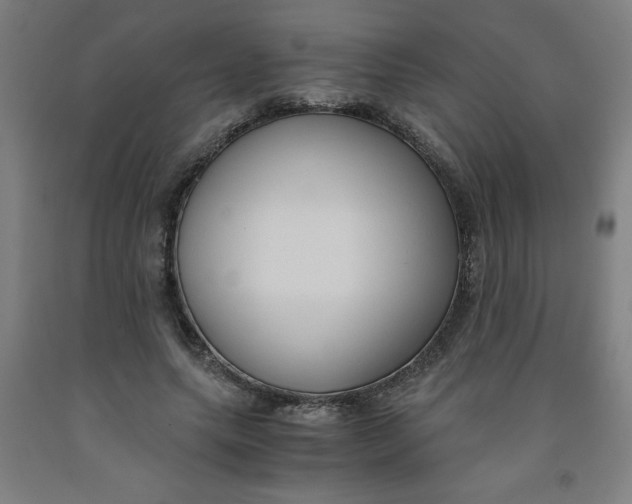 X0000091880639200709261352