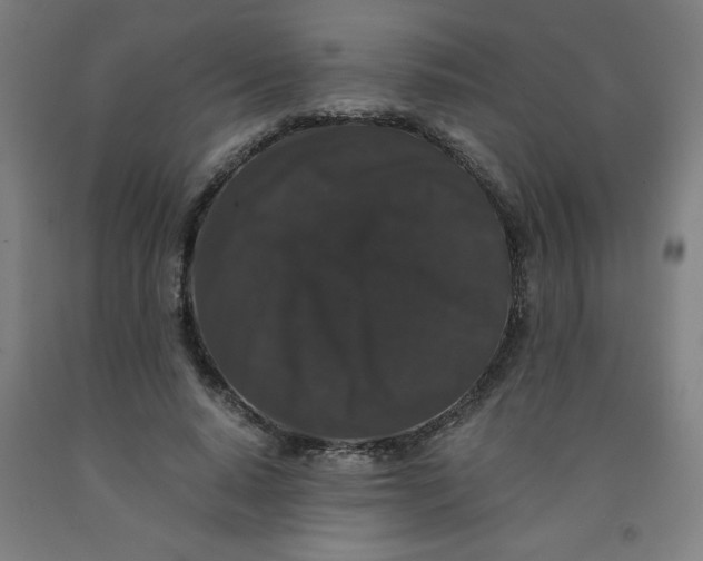 X0000091880640200709261352