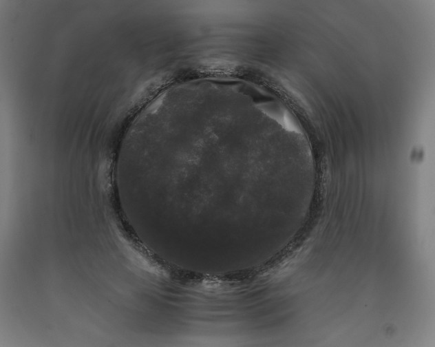 X0000091880641200709261352