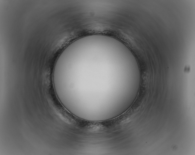 X0000091880642200709261352