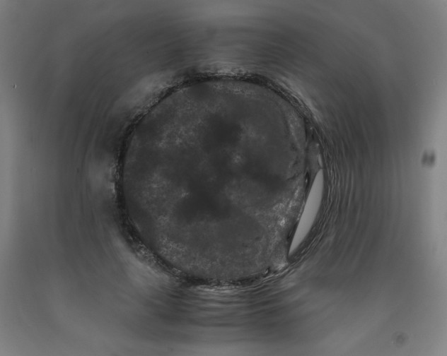 X0000091880643200709261352