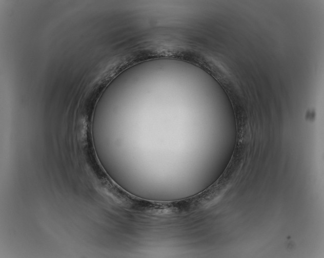 X0000091880646200709261352