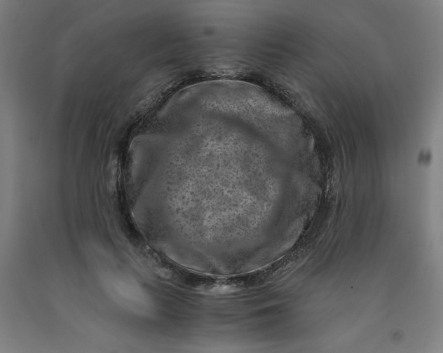 X0000091880647200709261352