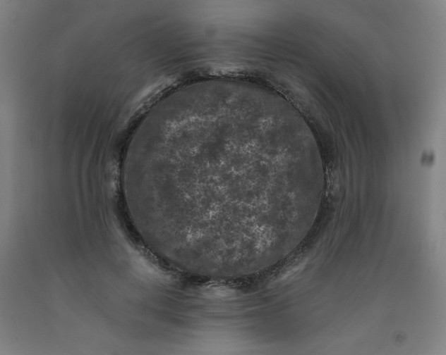 X0000091880648200709261352