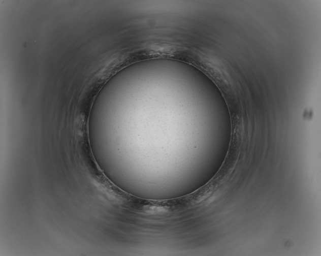 X0000091880649200709261352