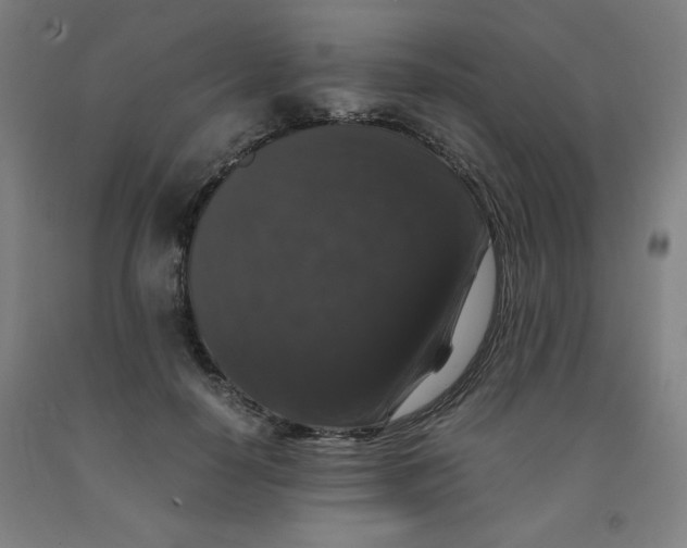 X0000091880650200709261352