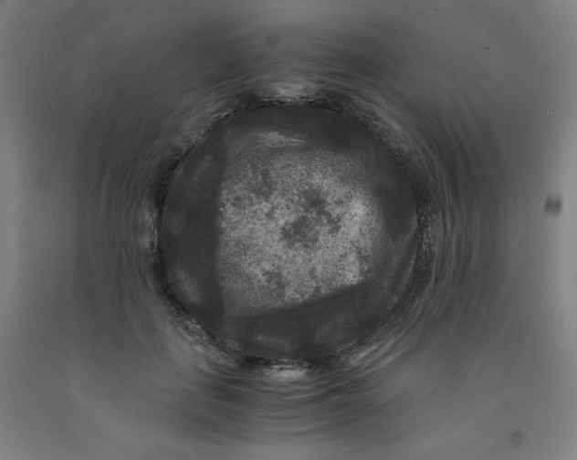 X0000091880651200709261352