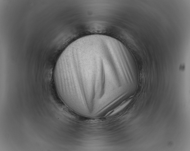 X0000091880652200709261352