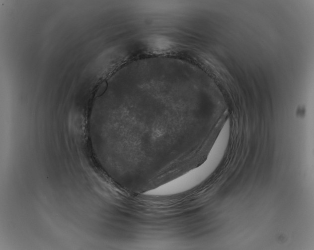 X0000091880653200709261352