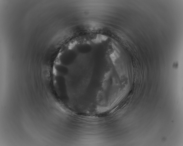 X0000091880654200709261352