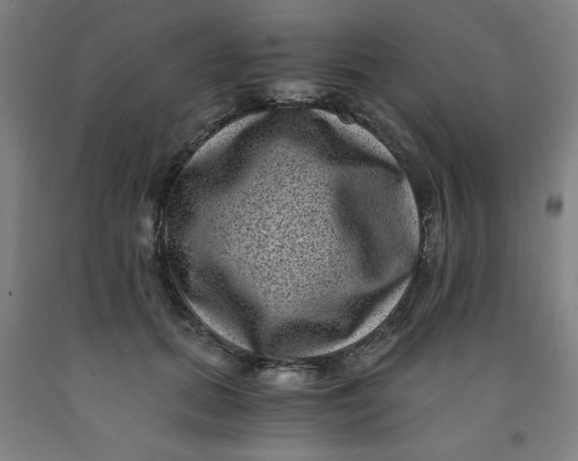 X0000091880655200709261352