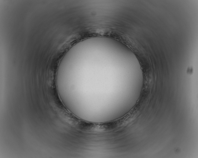 X0000091880656200709261352