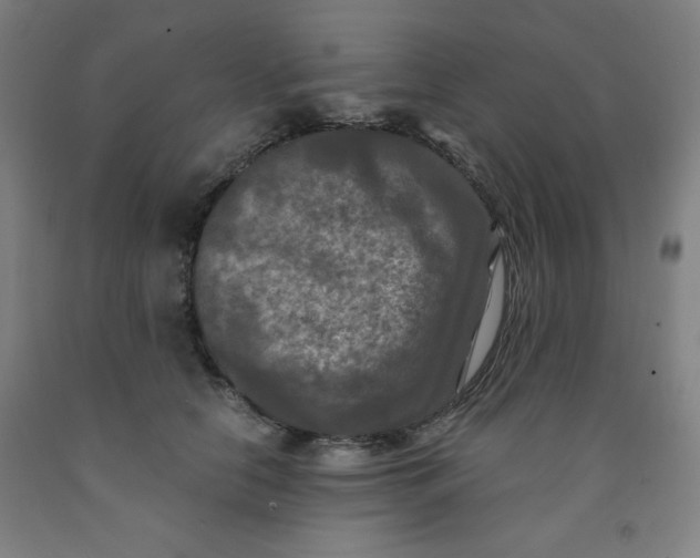 X0000091880658200709261352