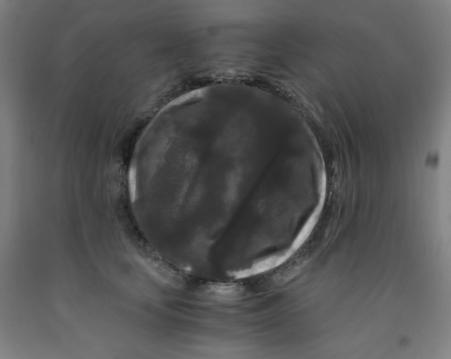 X0000091880659200709261352