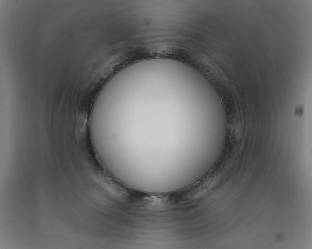 X0000091880660200709261352