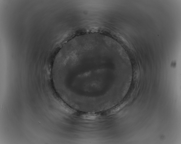 X0000091880661200709261352