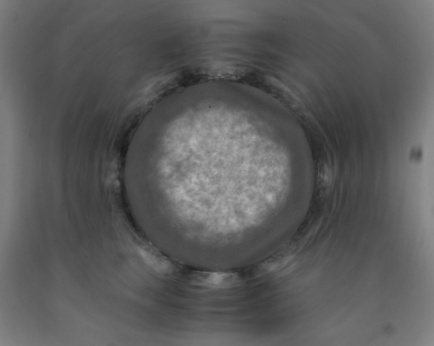 X0000091880663200709261352