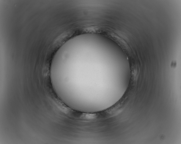 X0000091880665200709261352