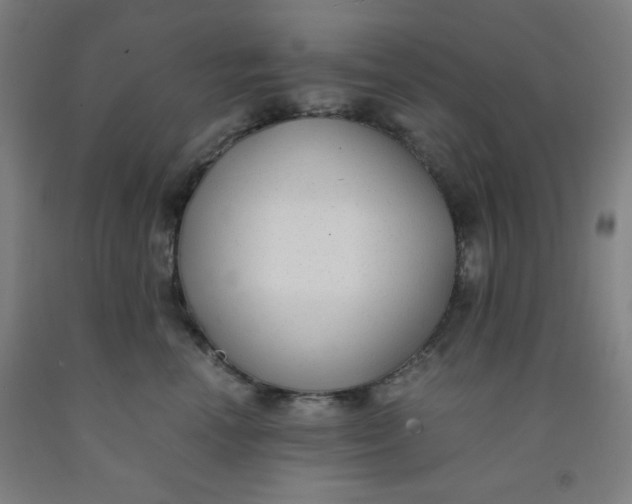 X0000091880666200709261352