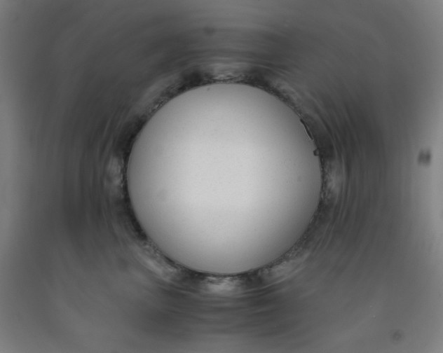 X0000091880667200709261352