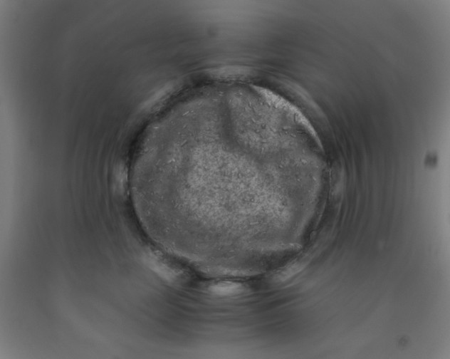 X0000091880669200709261352