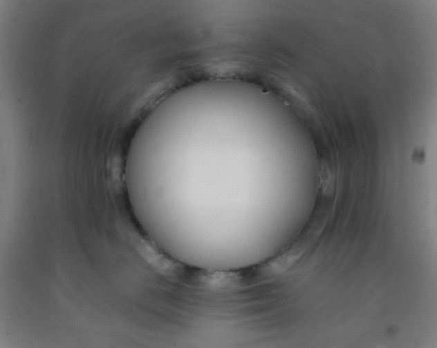 X0000091880670200709261352