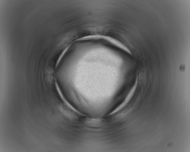 X0000091880671200709261352