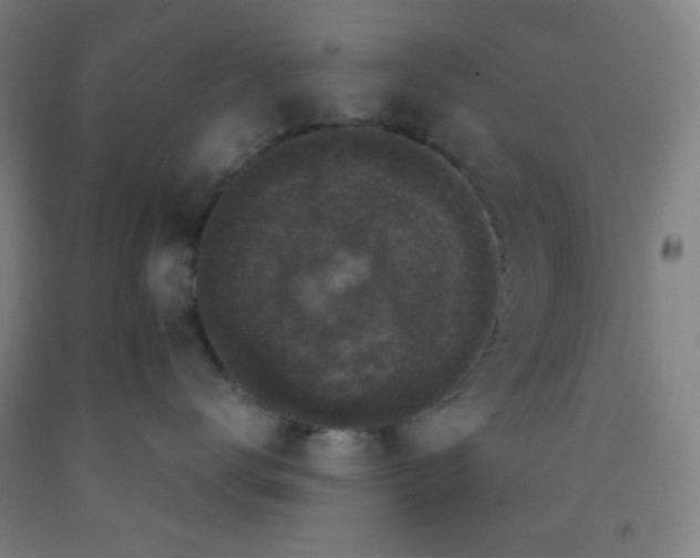 X0000091880672200709261352