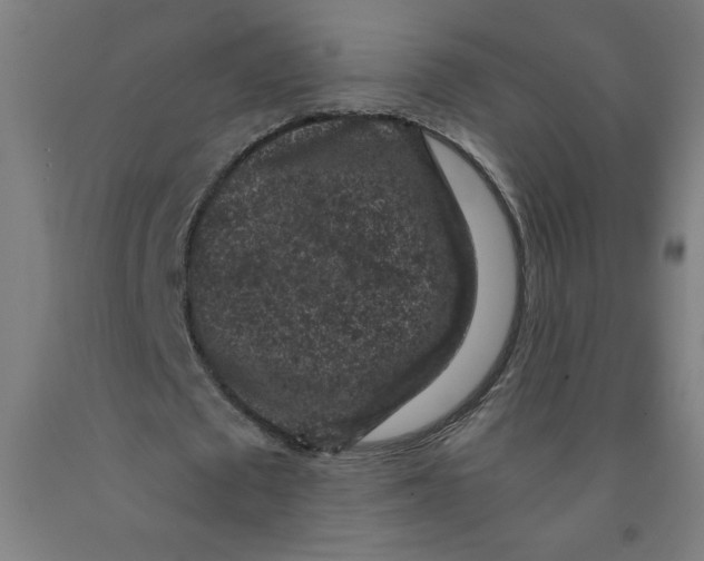 X0000091880673200709261352