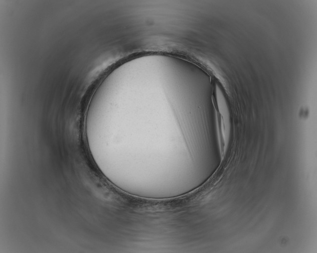 X0000091880675200709261352