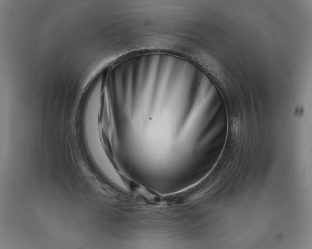 X0000091880676200709261352