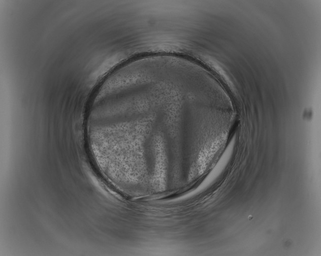 X0000091880677200709261352